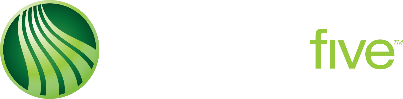 Webster Five