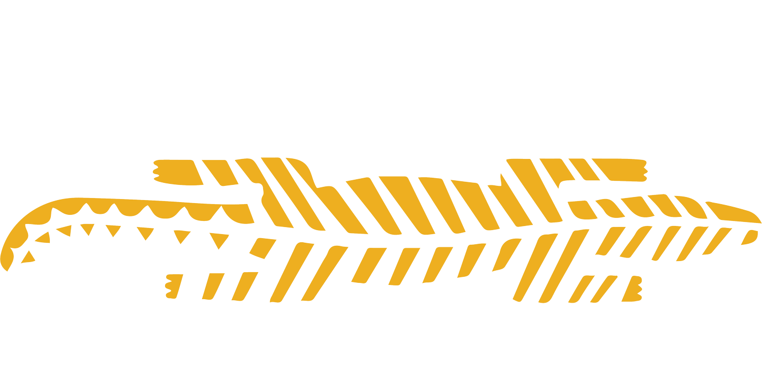 Crocodile River Music